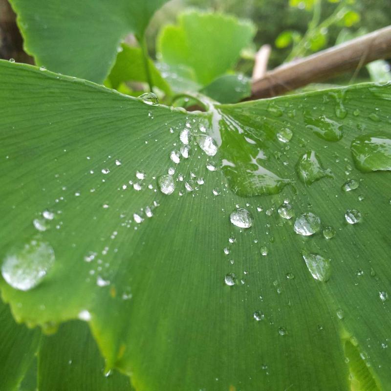苹果充电器充电线适用PD20W快充线PD套装